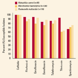 A180 Injectable Antibiotic