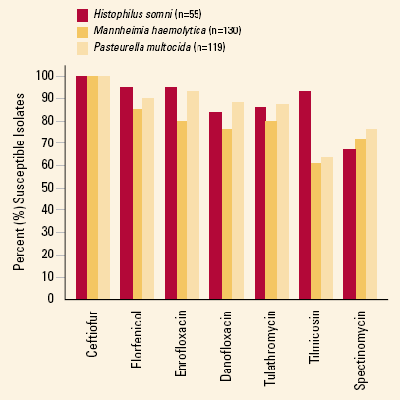 A180 Injectable Antibiotic